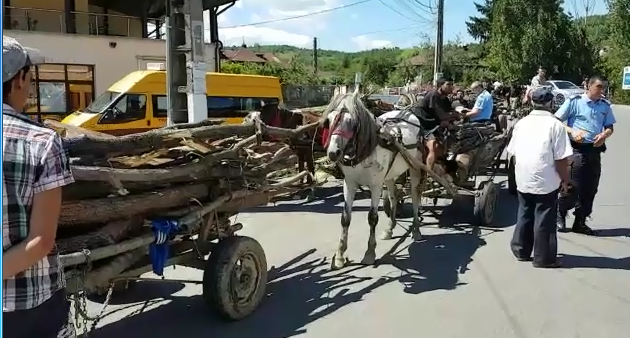 Acţiune fulger la Vâlcăneşti Jandarmii au oprit furturile de lemne 