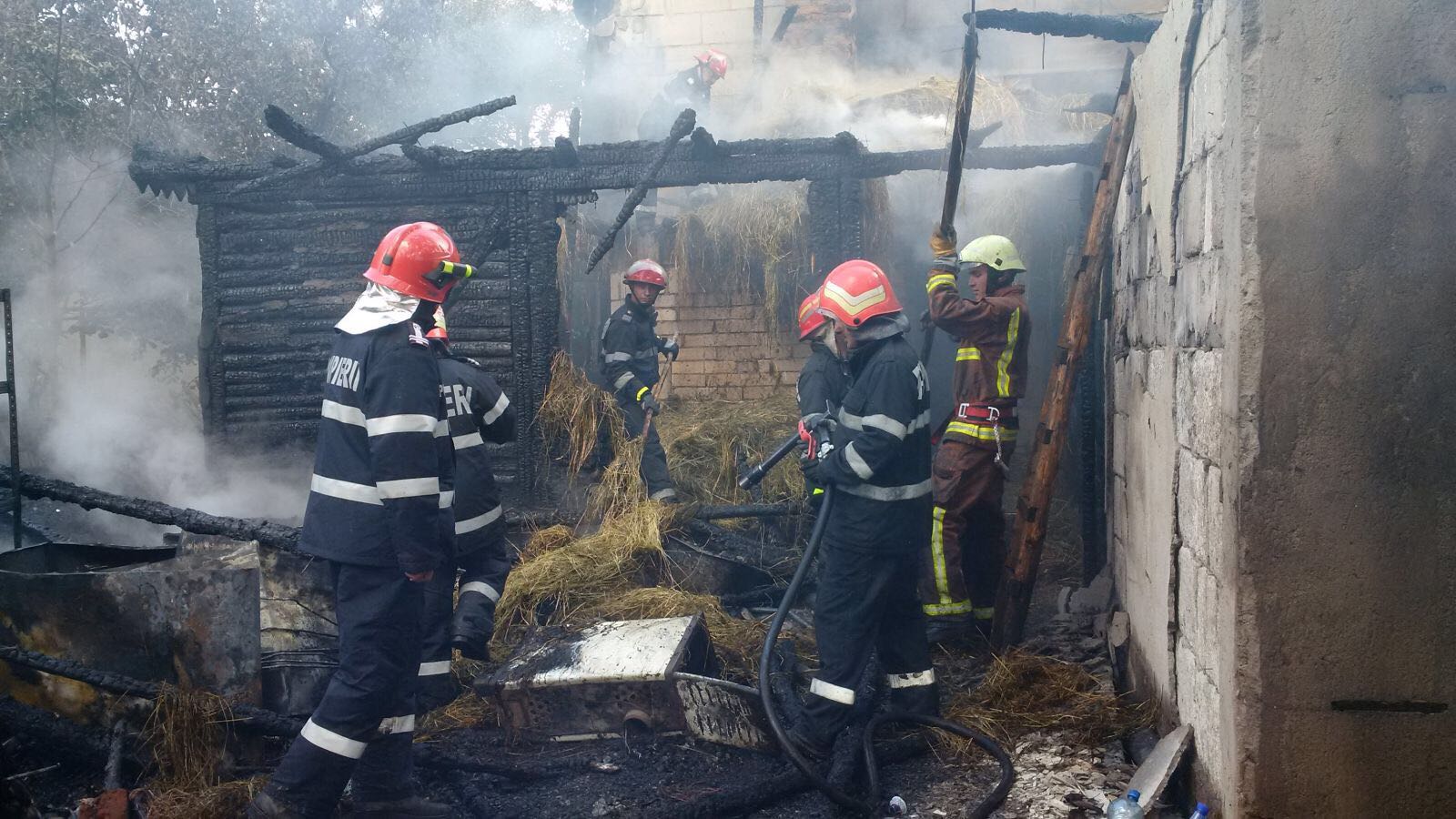 S-a stablit cauza incendiului din Valea Doftanei