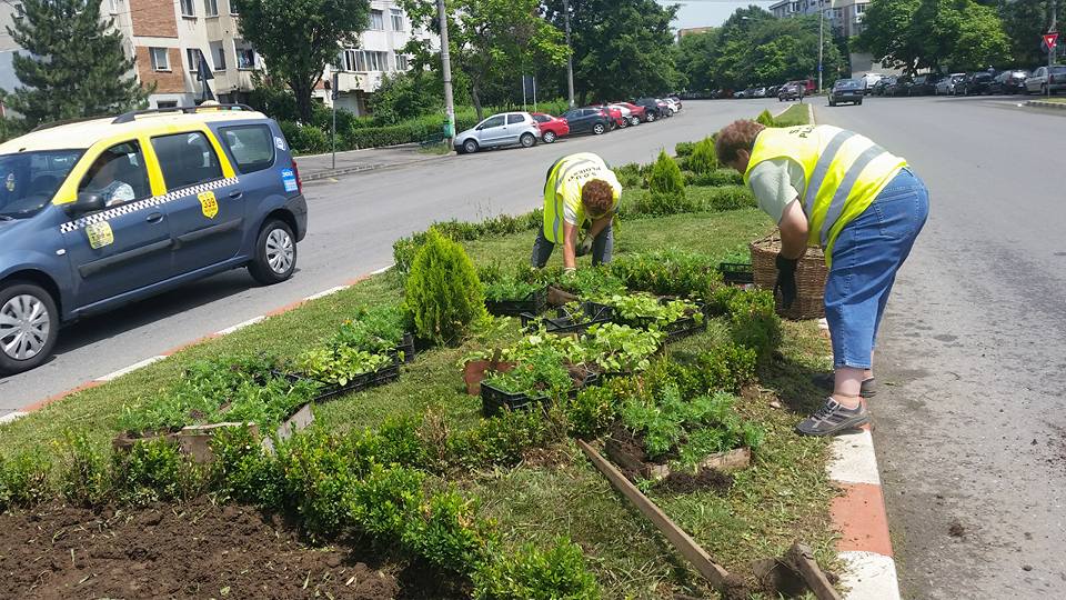 Angajați SGU neplătiți