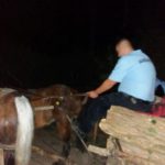 Jaf la drumul mare în pădurile din Prahova. Hoţii au fost surprinşi de echipele de jandarmi. Reacţia lor întrece orice aşteptare/ VIDEO/ GALERIE FOTO