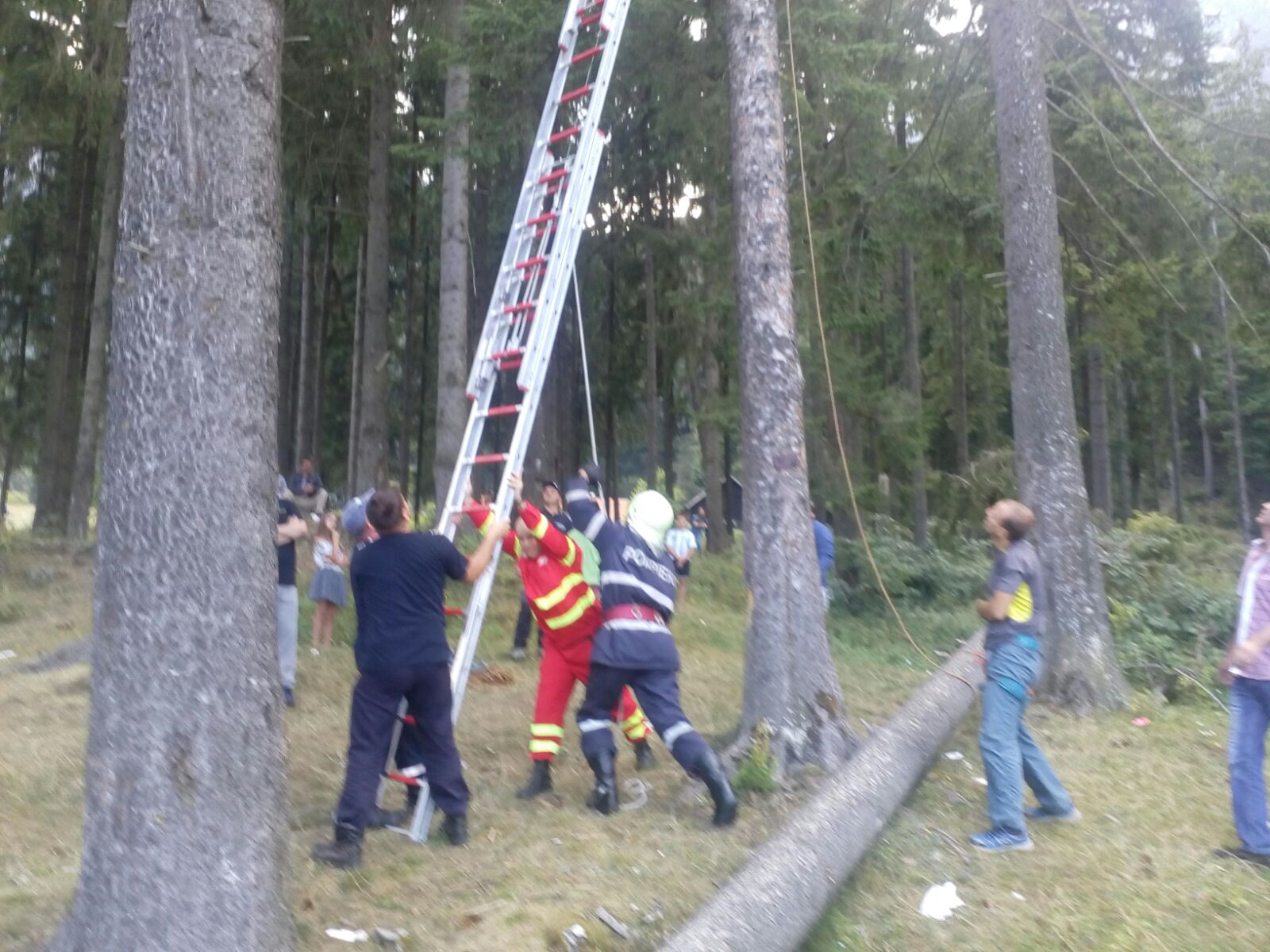 paraşutişti Sus, în vârful bradului...