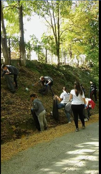 Un oraș mai curat. Tinerii de la ALDE au ecologizat o stradă din Băicoi