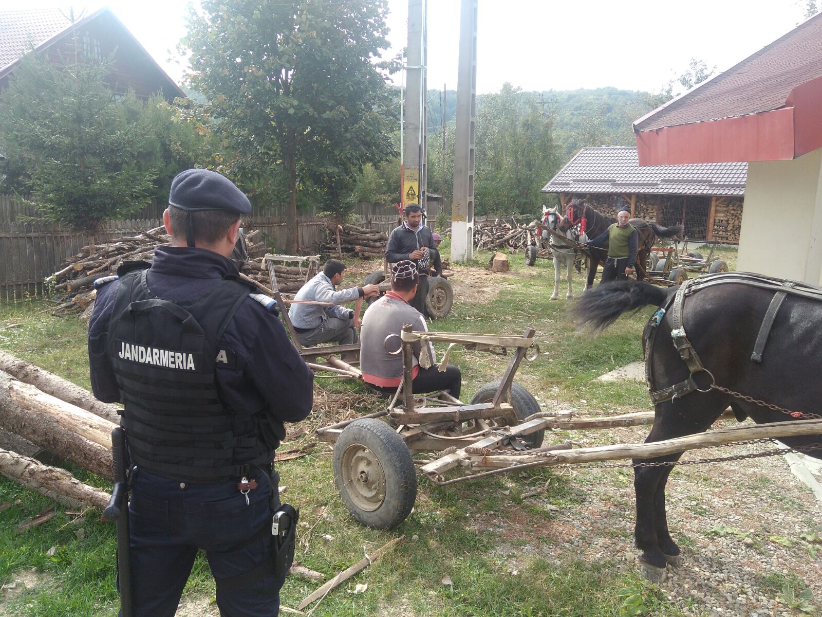 FOTO: Cinci căruțași din Vâlcănești au pățit-o! Vezi ce s-a întâmplat