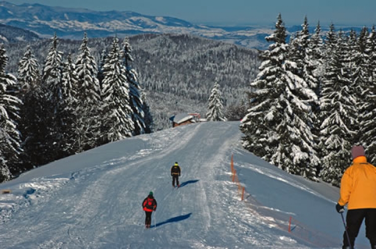 La Sinaia va avea loc Bursa de Turism şi evenimentul „Criteriul primei zăpezi”/ sursă foto Infotrip