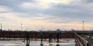 patinoar