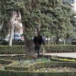 Ploiestean care urineaza in centrul orașului