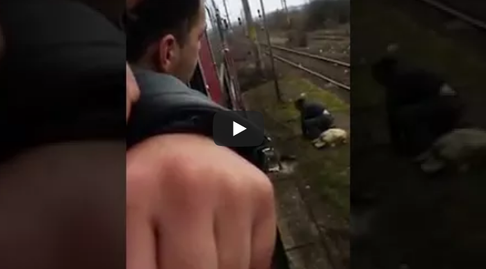 Dat jos din tren şi bătut crunt