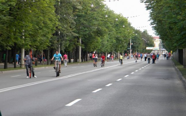 Bulevardul Castanilor sursă foto ziarulincomod.ro