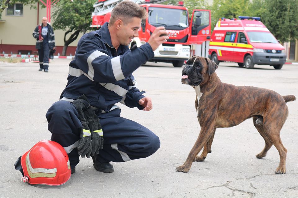 Căţeluşul Max