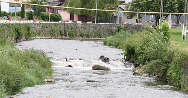 albia râului sursă foto Ziua de Vest