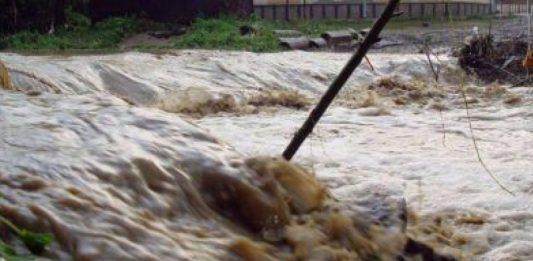 sursă foto B1