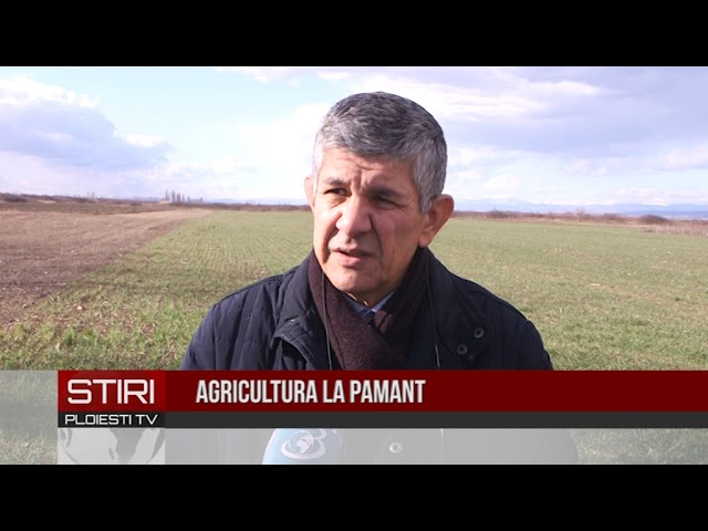 culturile agricole