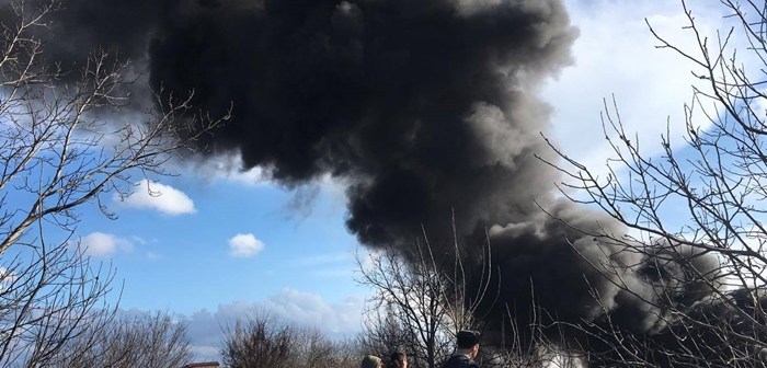 surăsă foto Opinia Timişoarei
