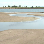 Atenție, șoferi! Traversarea Dunării cu feribotul Oryahovo–Bechet, suspendată temporar