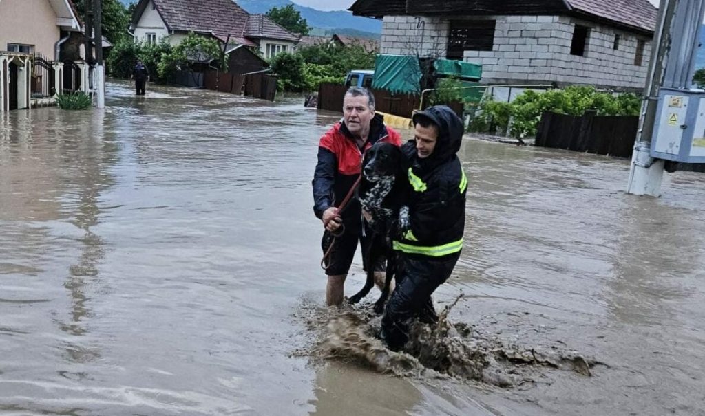Cod roșu pe râurile din Dobrogea și sudul țării