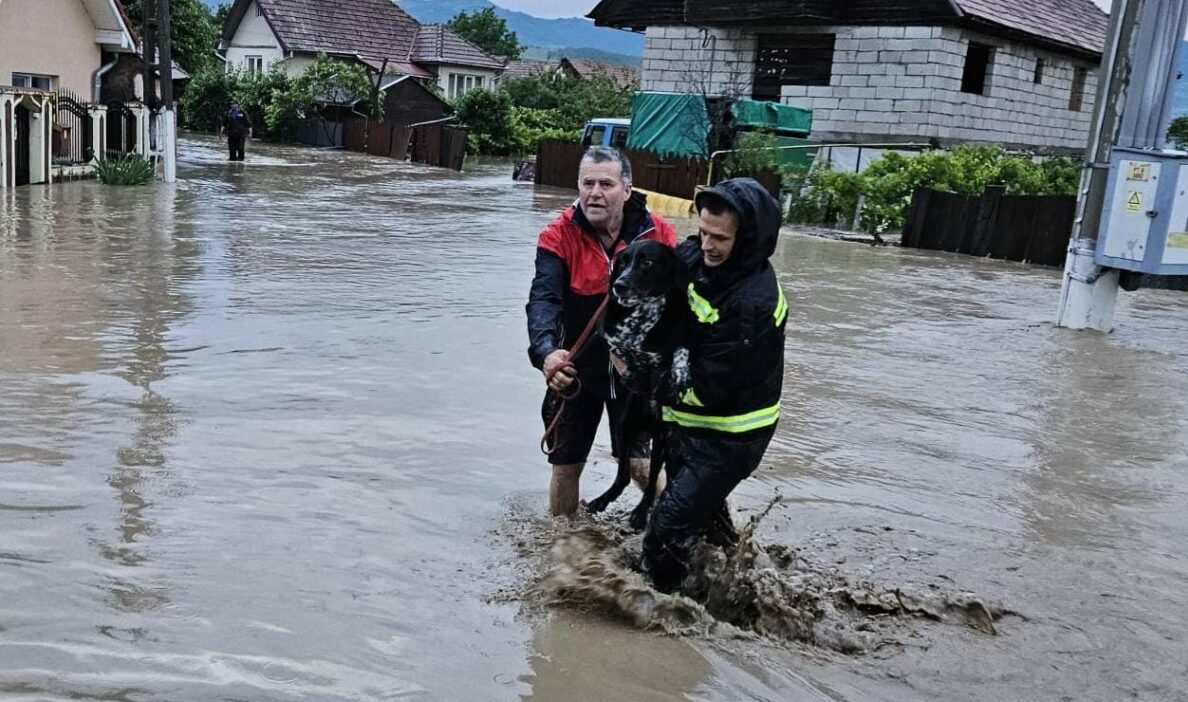 Județul Prahova ferit de efectele fenomenelor meteo severe, dar pompierii militari intervin în sprijinul județului Galați