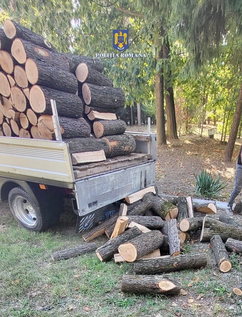 Transport de material lemnos