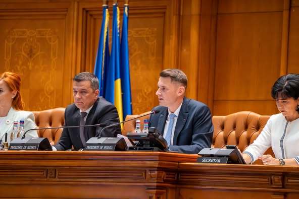 abrudean senat romania