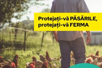 Gripa aviară