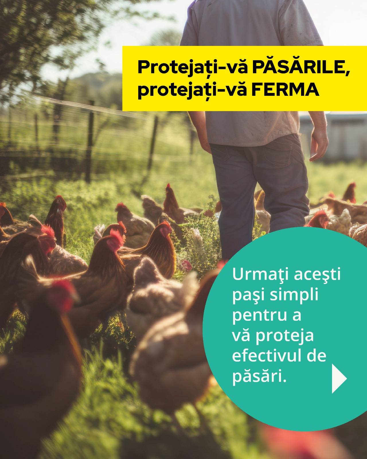 Gripa aviară