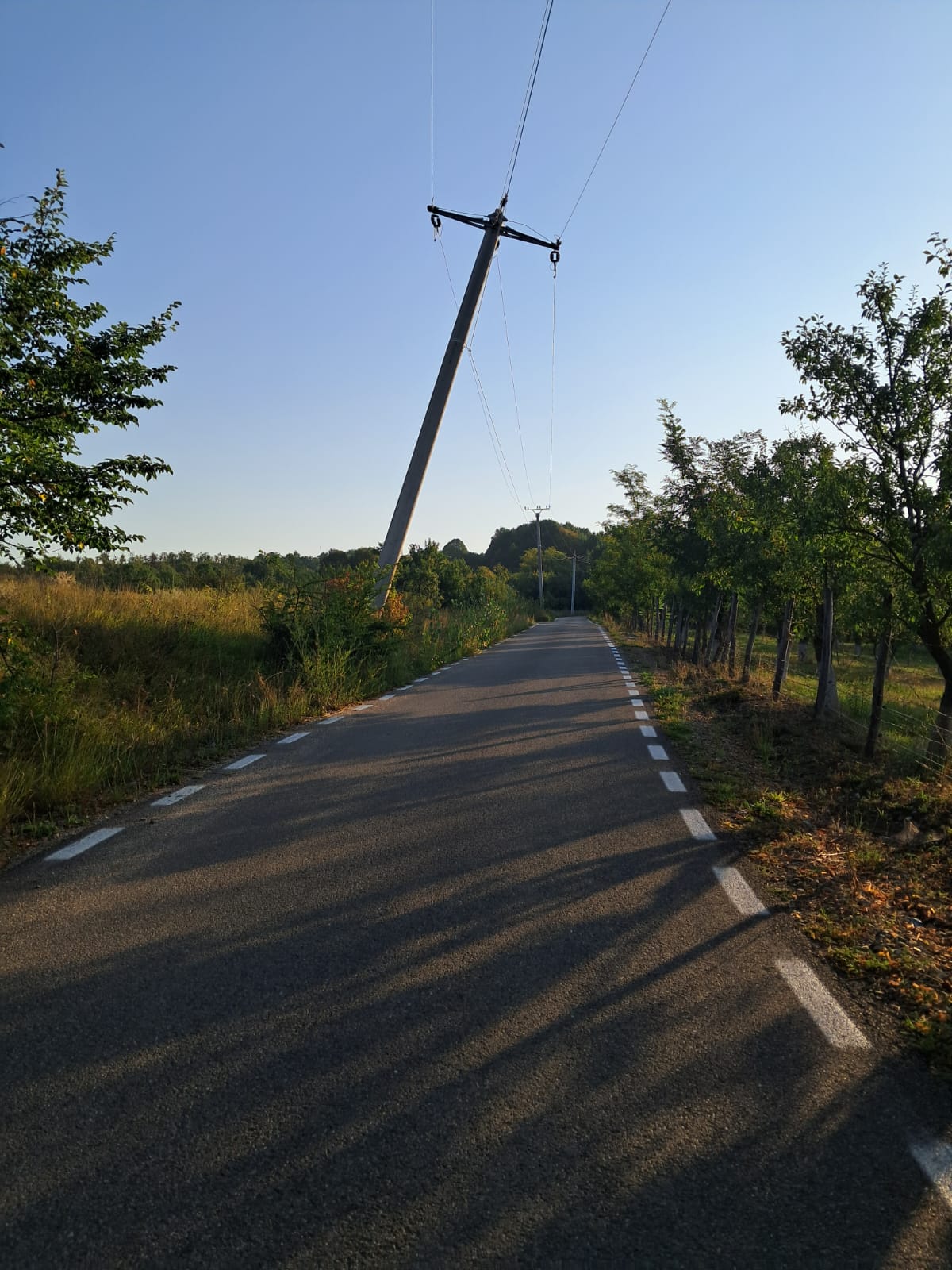 stalp poiana mierlei