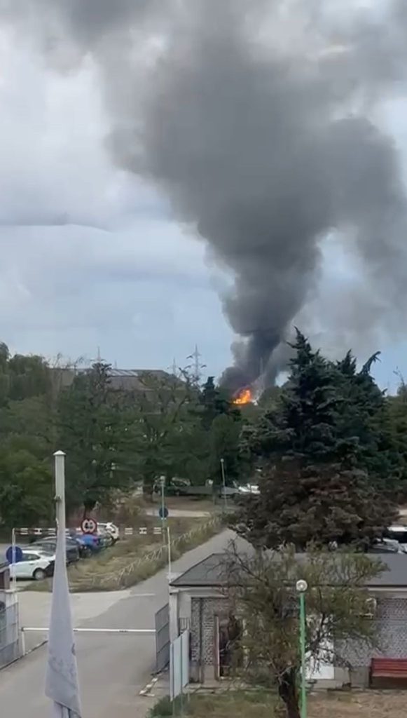 Cercetătorii INSEMEX