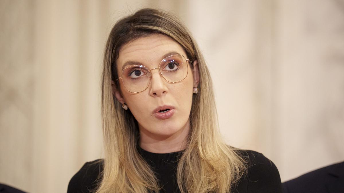 ministrul mediului diana buzoianu motiune