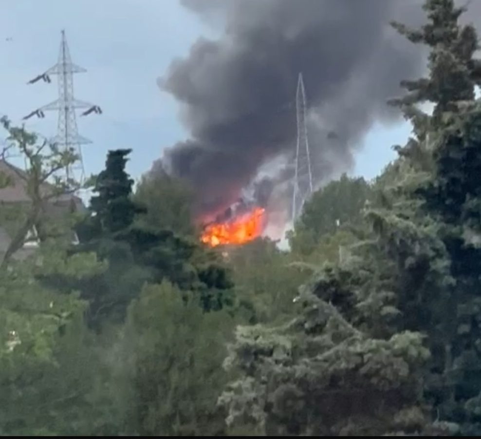 Cercetătorii INSEMEX