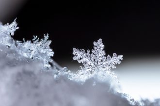 polar