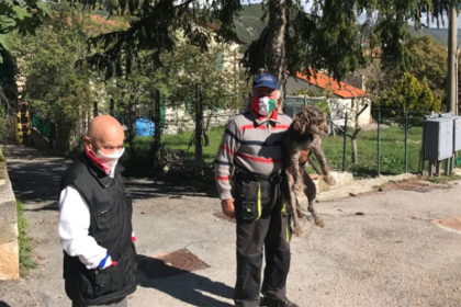 locuitori
