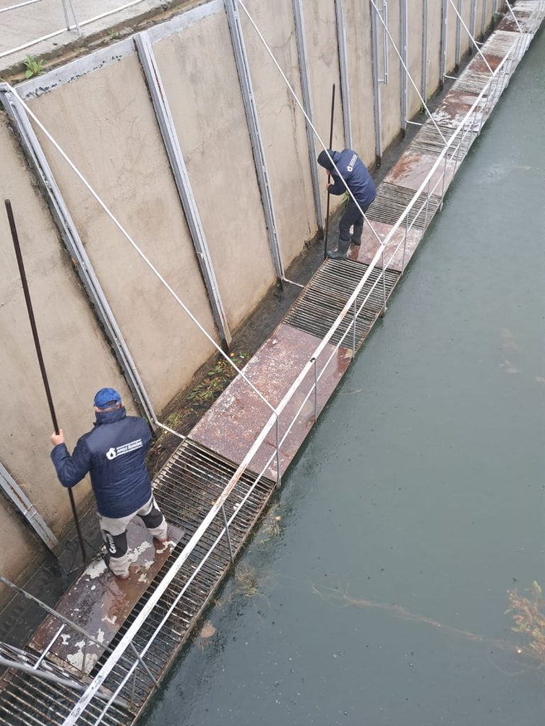Cod roșu pe râurile din Oltenia