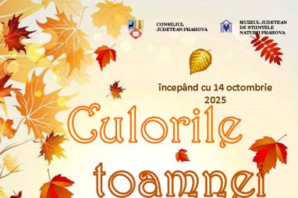 Culorile toamnei
