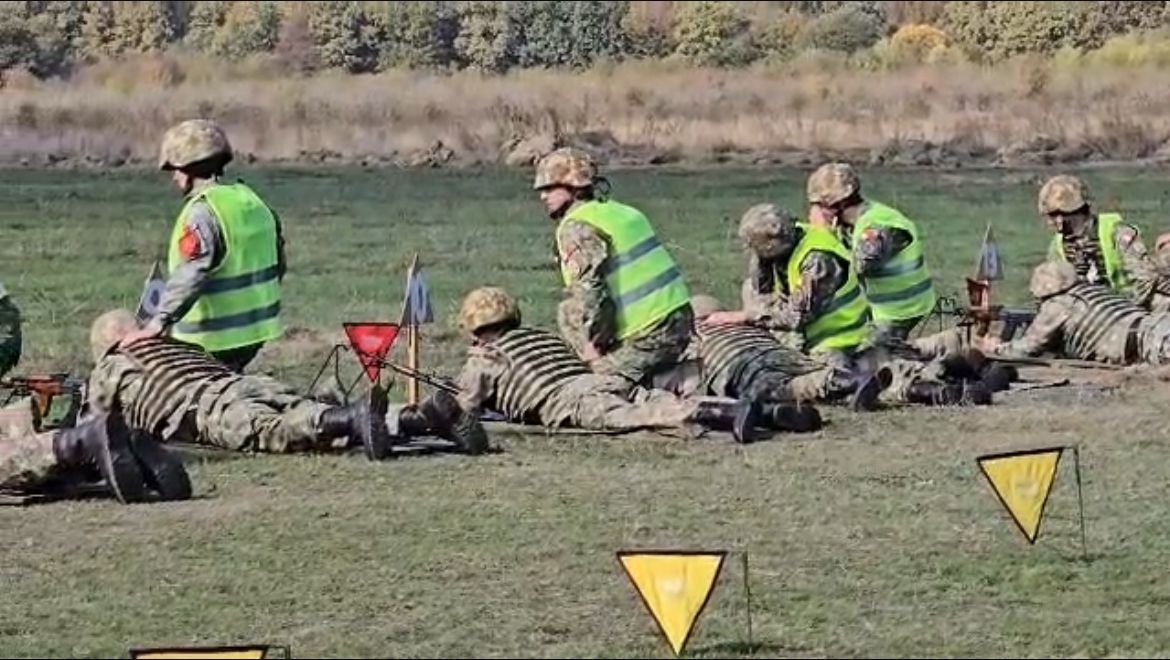 Exercițiu de mobilizare