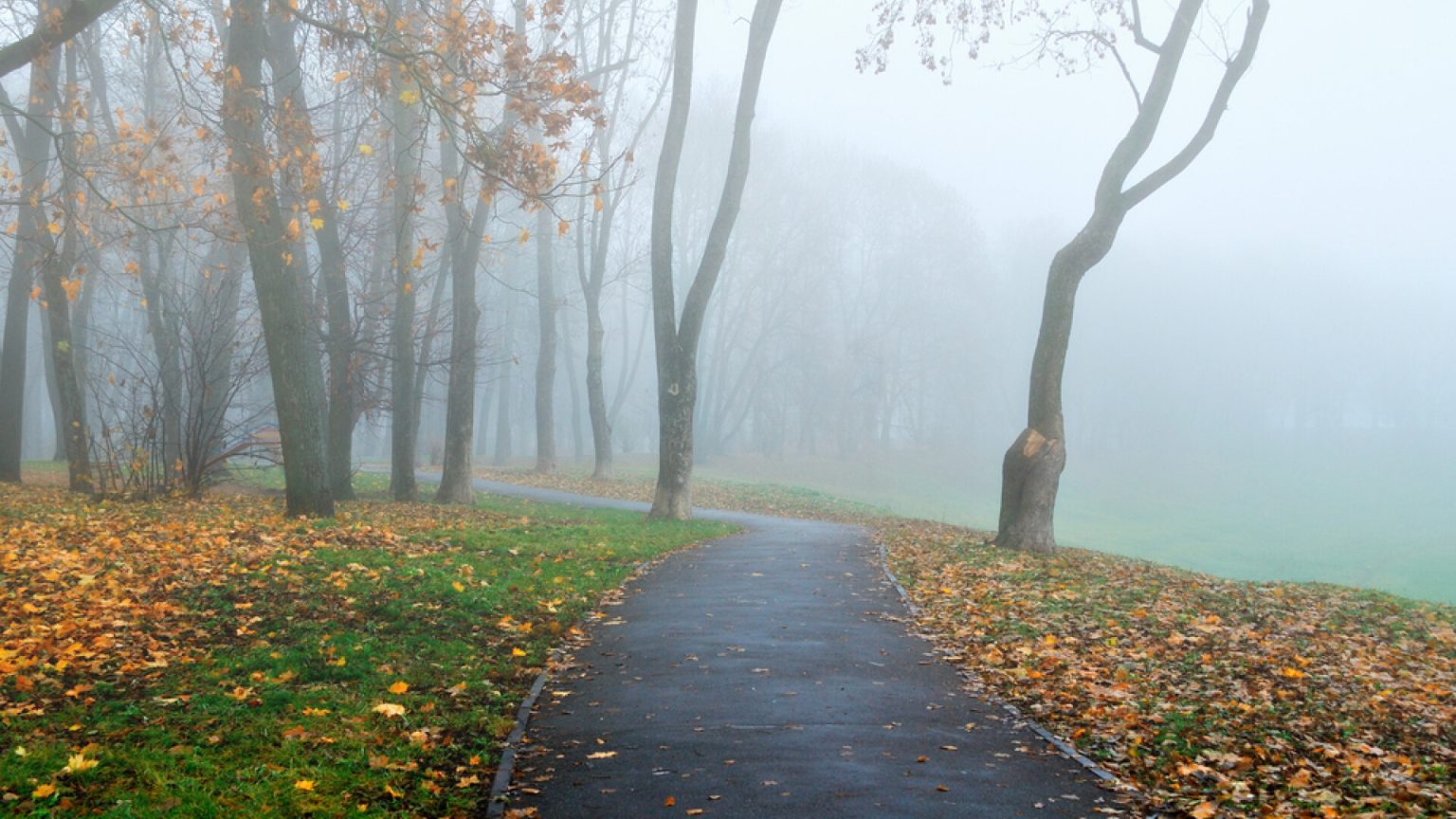 Vreme rece