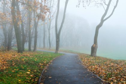 Vreme rece