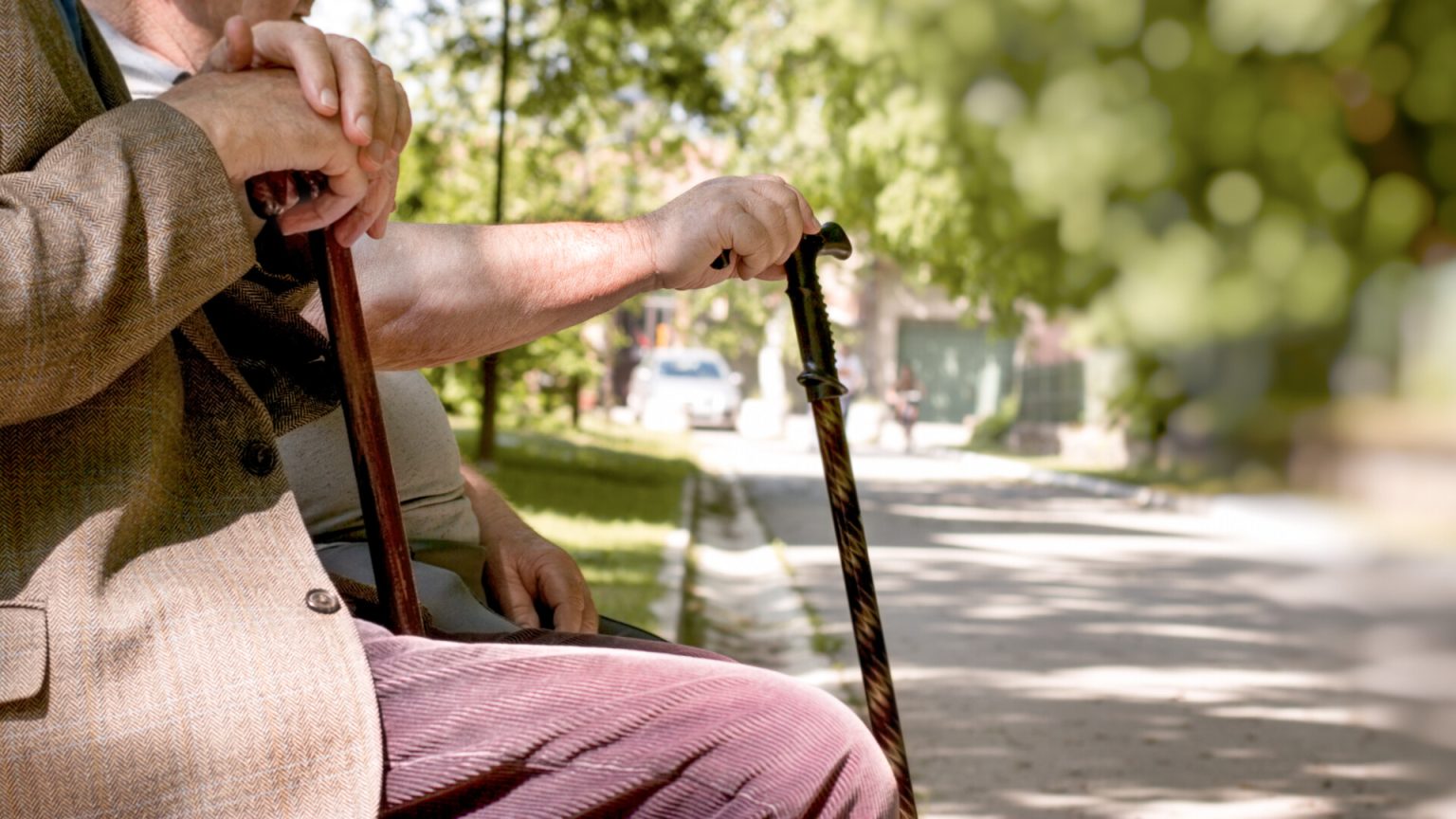 pensionari