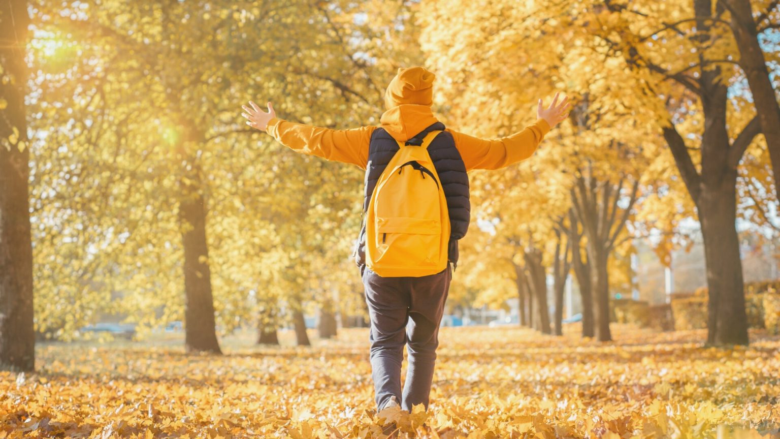 Toamnă surprinzătoare