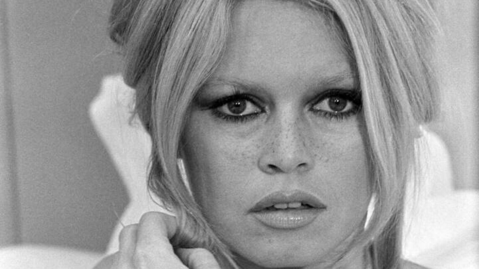 Brigitte Bardot