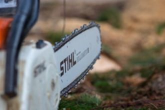 Ucis de creanga unui copac