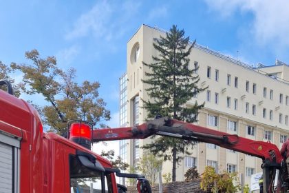 Bărbat rănit în timpul lucrărilor de toaletare