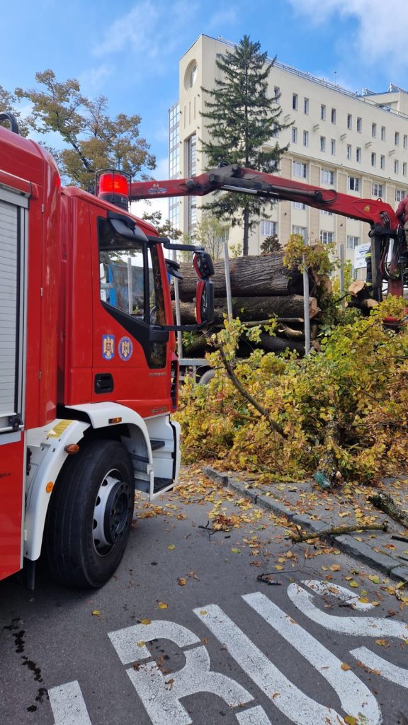 Bărbat rănit în timpul lucrărilor de toaletare