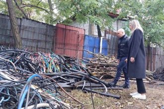 diana buzoianu drone ministrul mediului