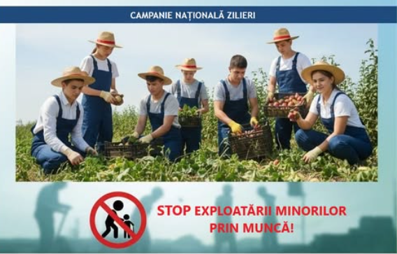 inspectia muncii