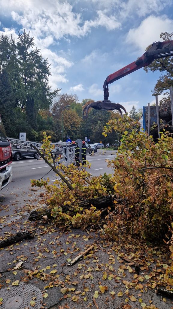 Bărbat rănit în timpul lucrărilor de toaletare