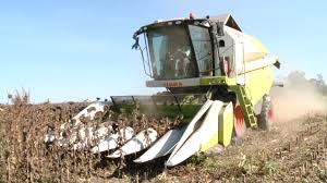Rentieri agricoli