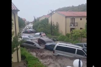 MAE bulgaria