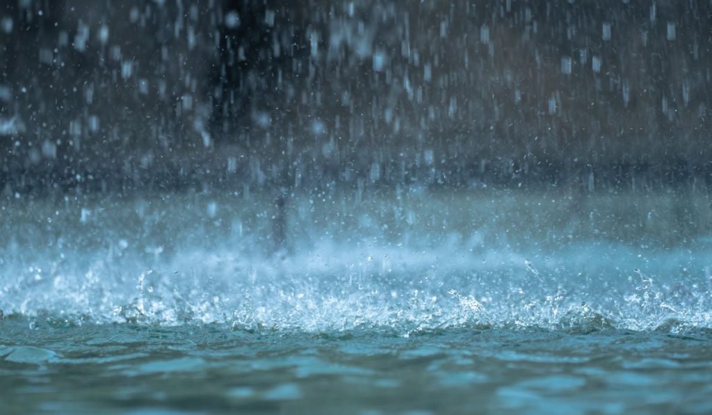 Catalonia Bucureşti