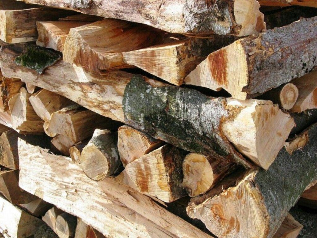 500 MC. de material lemnos confiscat! Polițiștii din Brașov acționează în forță împotriva transporturilor ilegale