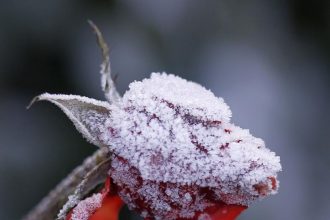 Nou val de aer polar