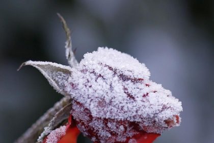 Nou val de aer polar